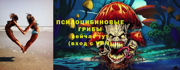 гидропоника Алексеевка