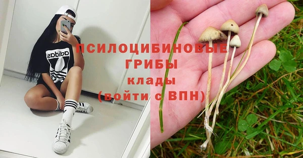 прущая мука Алексин