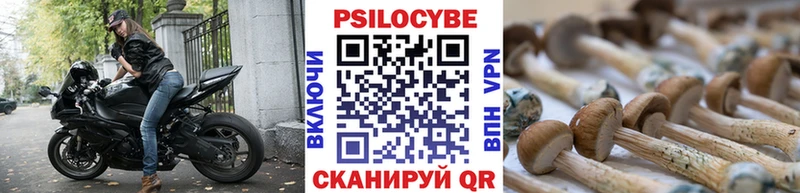 наркота  Дудинка  Псилоцибиновые грибы Magic Shrooms 